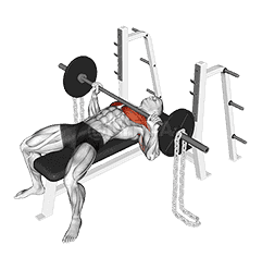 Barbell Bench Press against Chains demonstration