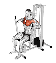 Lever Banded Chest Press demonstration
