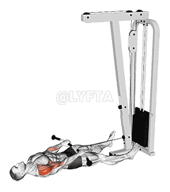 Cable Lying Upright Row demonstration