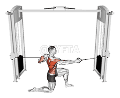 Cable Half Kneeling Push Pull demonstration