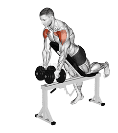 Dumbbell Incline Two Front Raise with Chest Support demonstration