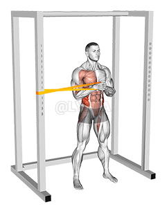 Resistance Band Horizontal Pallof Press demonstration