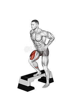 Stepdown Squat demonstration