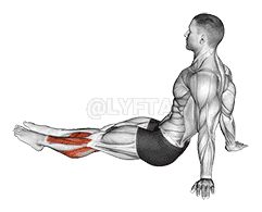 Feet and Ankles Stretch demonstration