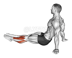 Feet and Ankles Stretch demonstration