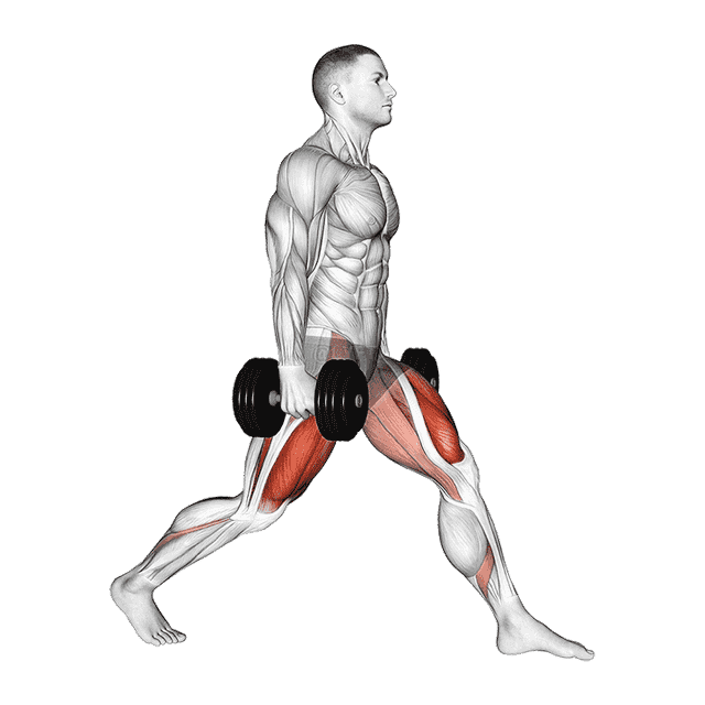 Dumbbell Static Lunge demonstration