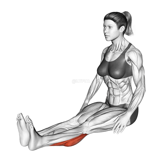 Seated Calf Stretch demonstration