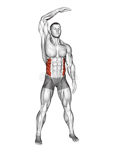Standing Side Bend demonstration