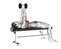 Dumbbell Bent Arm Pullover demonstration