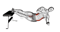 Side Plank Oblique Crunch demonstration