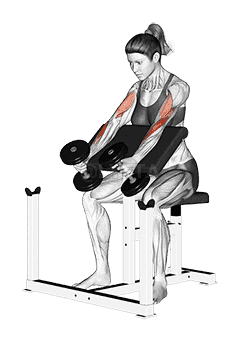Dumbbell Hammer Preacher Curl demonstration