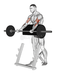 Barbell Spider Curl demonstration