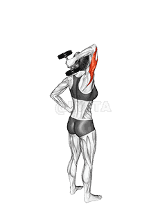 Dumbbell One Arm Triceps Extension demonstration