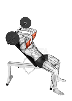 Barbell Incline Triceps Extension Skull Crusher demonstration