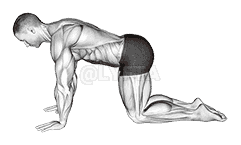 Abdominal 4 points demonstration