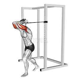 Band overhead triceps extension demonstration