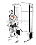 Cable Standing Alternate Low Fly demonstration