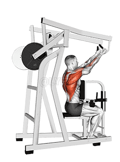 Lever Reverse Grip High Row demonstration