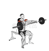 Barbell Seated High Front Raise demonstration