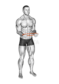 Resistance Band Pullapart demonstration