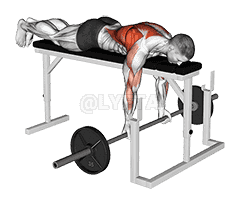 Barbell Lying Close-Grip Underhand Row on Rack demonstration
