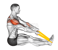Resistance Band Seated Face Pull demonstration