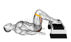 Resistance Band Elevated Glute Bridge demonstration