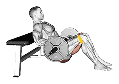 Barbell Resistance Band Hip Thrust demonstration