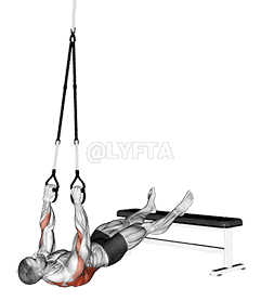 Suspender Wide Grip Inverted Row demonstration