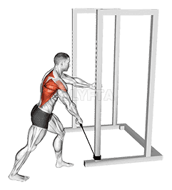 Band One Arm Standing Wide Grip Low Row demonstration
