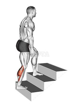Calves Stretch demonstration