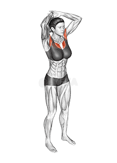 Above Head Chest Stretch demonstration