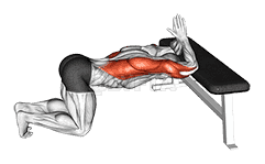 Kneeling Lat Stretch on Bench demonstration