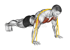 Resistance Band Push-Up demonstration