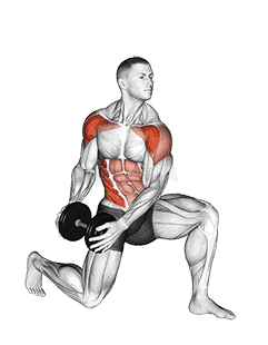 Dumbbell Half Kneeling Lift and Chop demonstration
