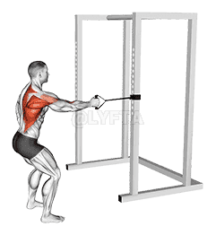 Band Standing Single Arm Row demonstration