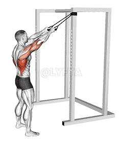 Band Standing Straight Arm Pulldown demonstration