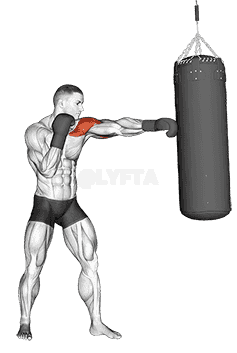 Boxing Jab demonstration
