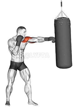 Boxing Jab demonstration
