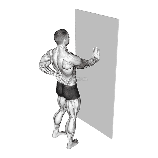 Single Arm Push-up Supported Wall demonstration