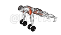 Dumbbell Front Plank Arm Raise demonstration