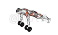 Dumbbell Front Plank Arm Leg Raise demonstration