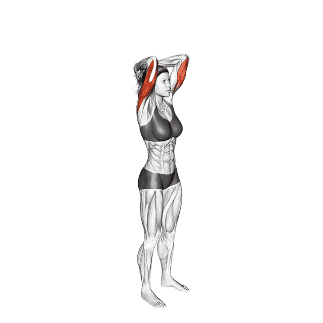 Bodyweight Overhead Triceps Extension demonstration