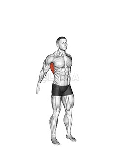 Dynamic Back Stretch demonstration