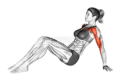 Seated Shoulder Flexor Depresor Retractor Stretch Bent Knee demonstration