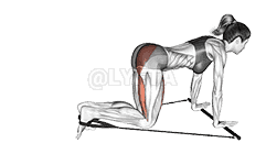 Bar Band Kneeling Single Leg Kick demonstration