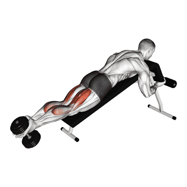 Dumbbell Decline Lying Leg Curl demonstration